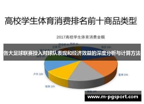 各大足球联赛投入对球队表现和经济效益的深度分析与计算方法