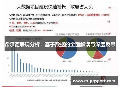 希尔德表现分析：基于数据的全面解读与深度反思