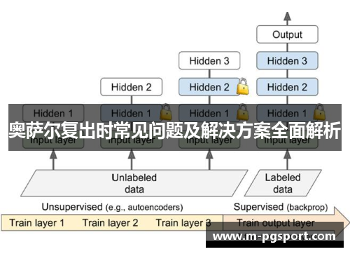 奥萨尔复出时常见问题及解决方案全面解析