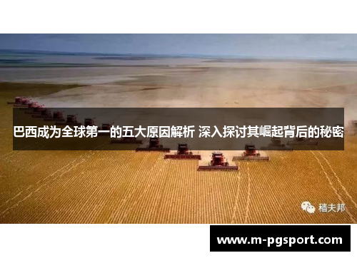 巴西成为全球第一的五大原因解析 深入探讨其崛起背后的秘密