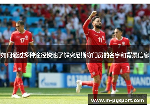 如何通过多种途径快速了解突尼斯守门员的名字和背景信息
