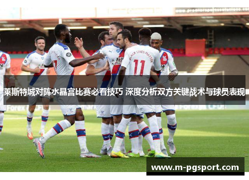 莱斯特城对阵水晶宫比赛必看技巧 深度分析双方关键战术与球员表现