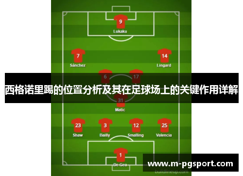 西格诺里踢的位置分析及其在足球场上的关键作用详解