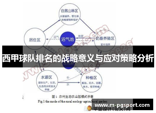西甲球队排名的战略意义与应对策略分析