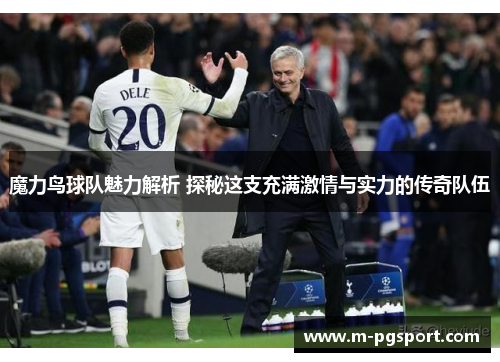 魔力鸟球队魅力解析 探秘这支充满激情与实力的传奇队伍