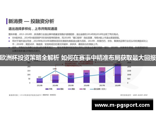 欧洲杯投资策略全解析 如何在赛事中精准布局获取最大回报